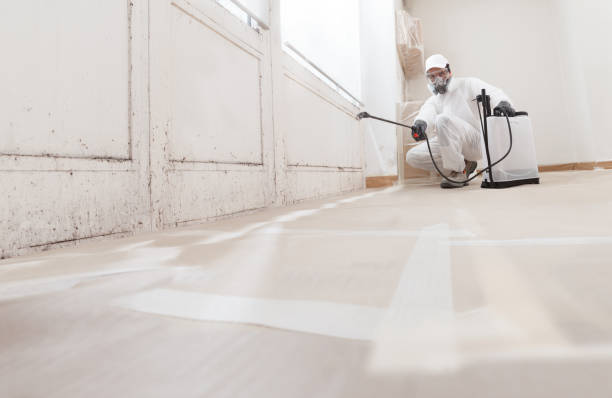 24/7 Emergency Mold Remediation experts in Bellefonte, PA